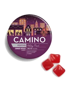 Camino Holiday Punch Gummies