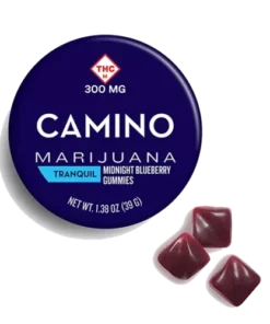 Camino Midnight Blueberry High Dose Gummies