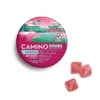 Camino Sours Watermelon Spritz