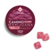 Camino Sours Strawberry Sunset