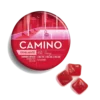 Camino Wild Cherry CBG Exhilarate